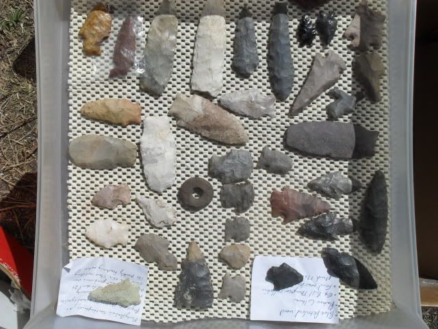 SDC10975.jpg