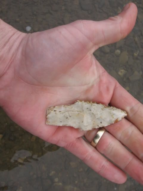 arrowhead02-20-2009003.jpg