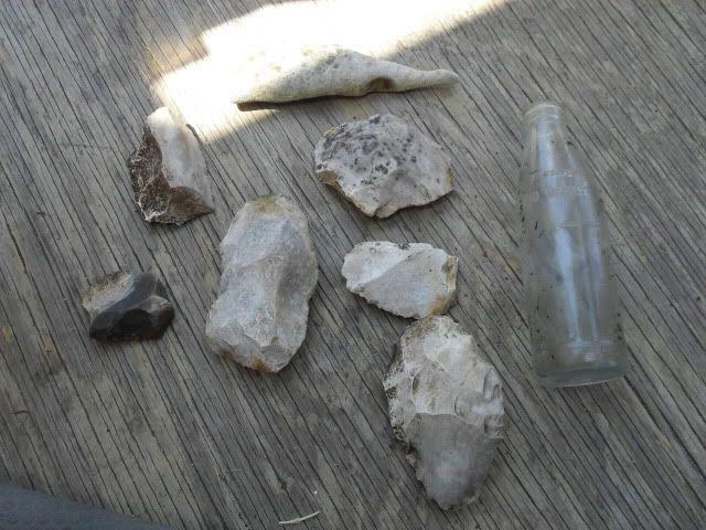 SDC10127.jpg