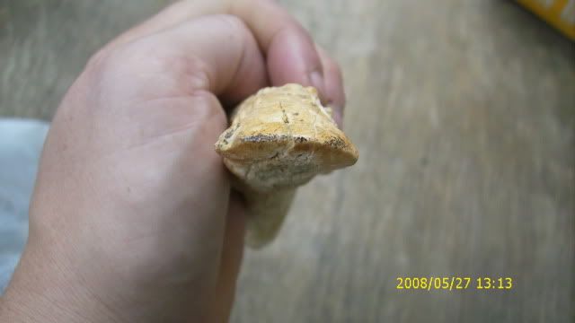 DSCI0884.jpg