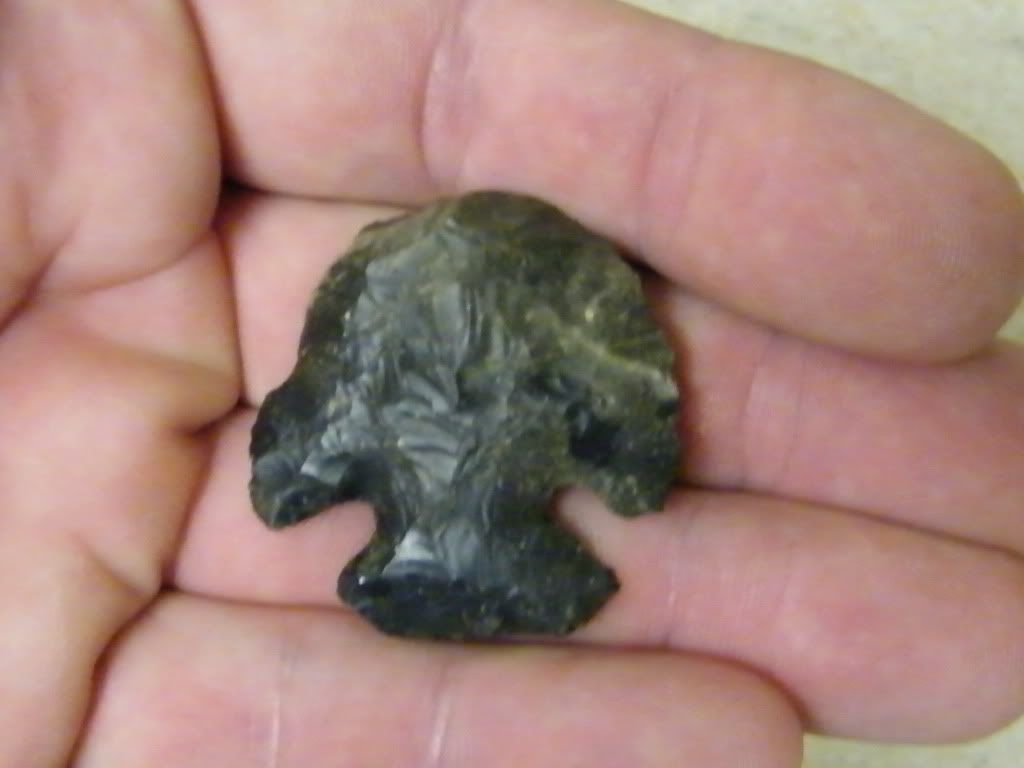 greg-rocksartifactcollection548.jpg