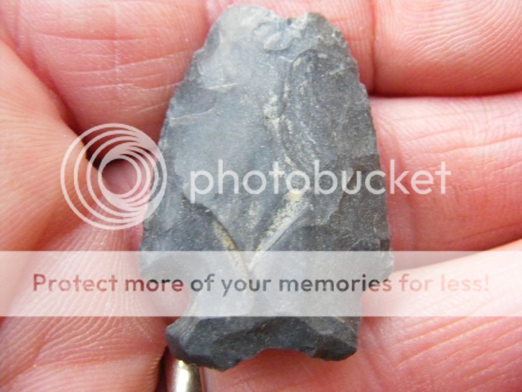 2009_0212febheads0017.jpg