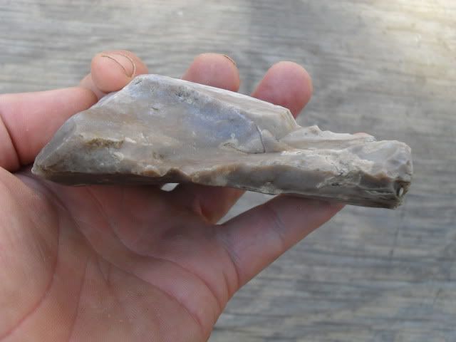 SDC10490.jpg
