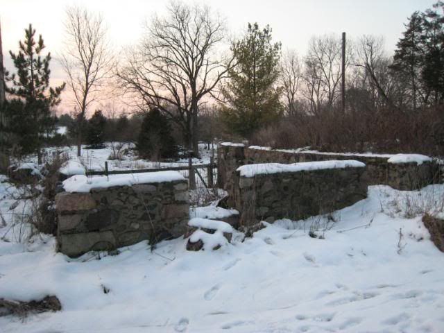 IMG_9480.jpg