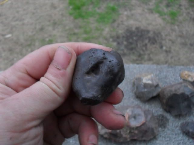 SDC10374.jpg