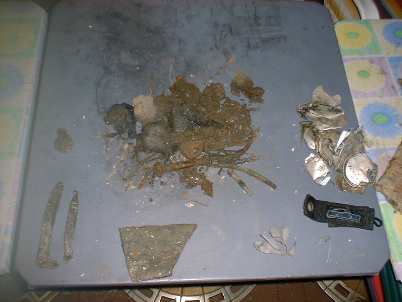 92512beachfinds.jpg