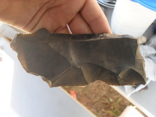 SDC10985.jpg