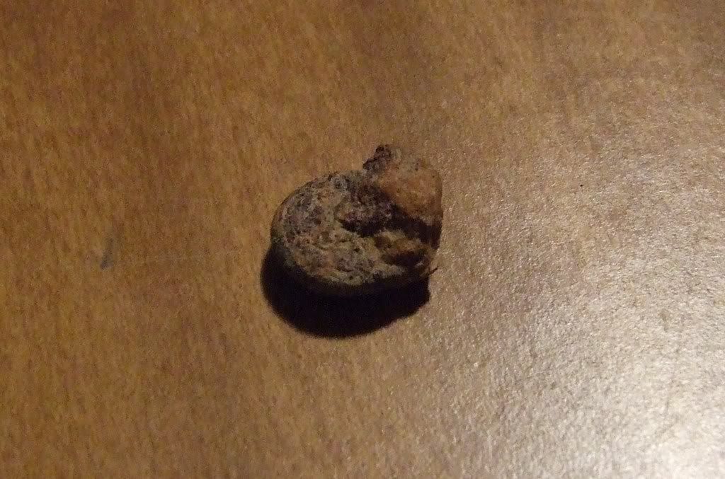 Finds006.jpg
