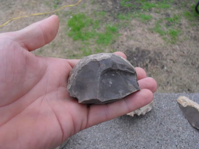 SDC10390.jpg