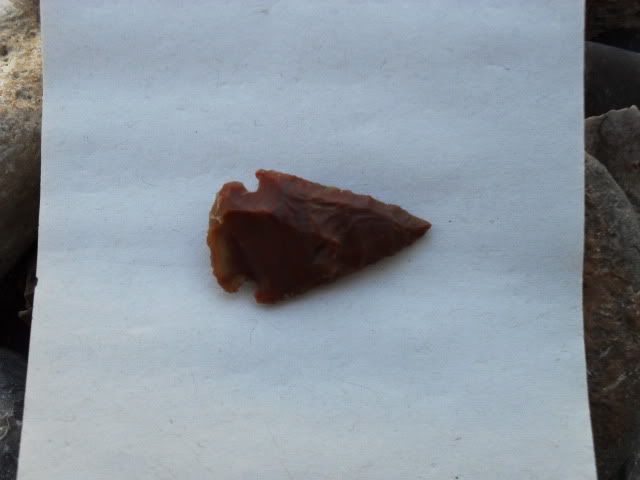 SDC11544.jpg