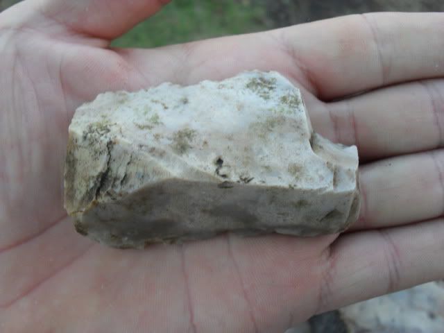 SDC10068.jpg