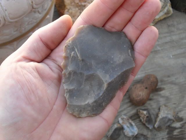 SDC10162.jpg