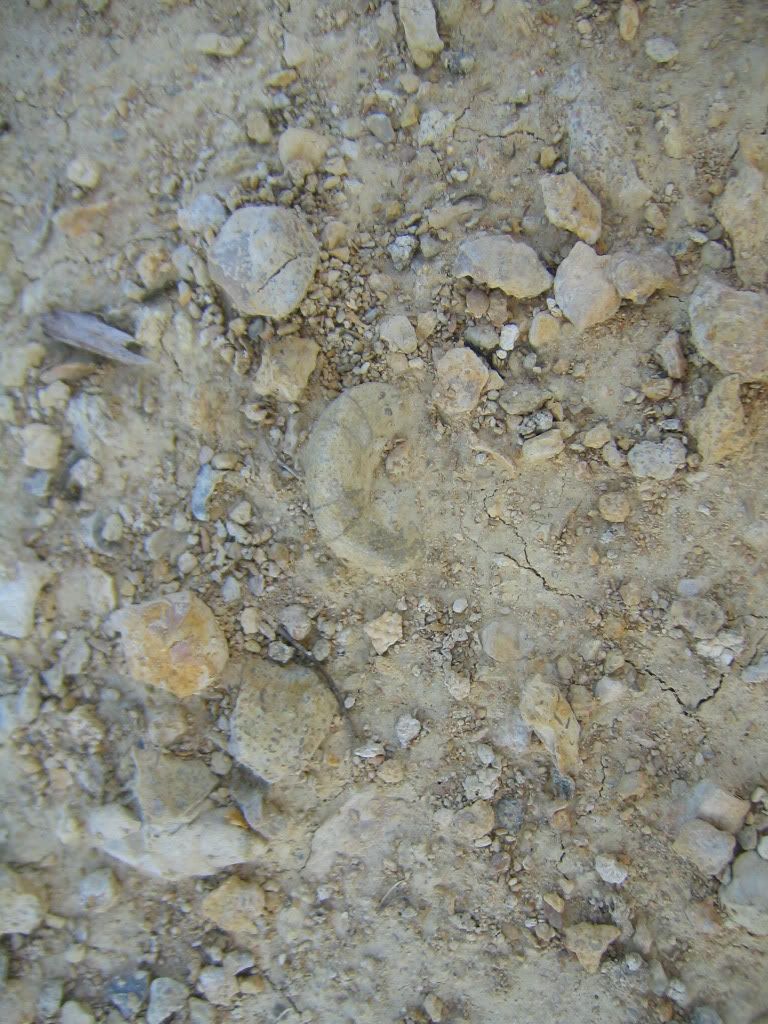 IMG_3424.jpg