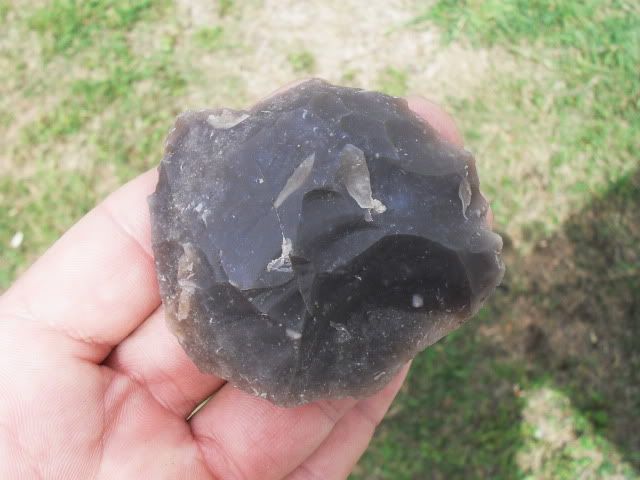 SDC11299.jpg