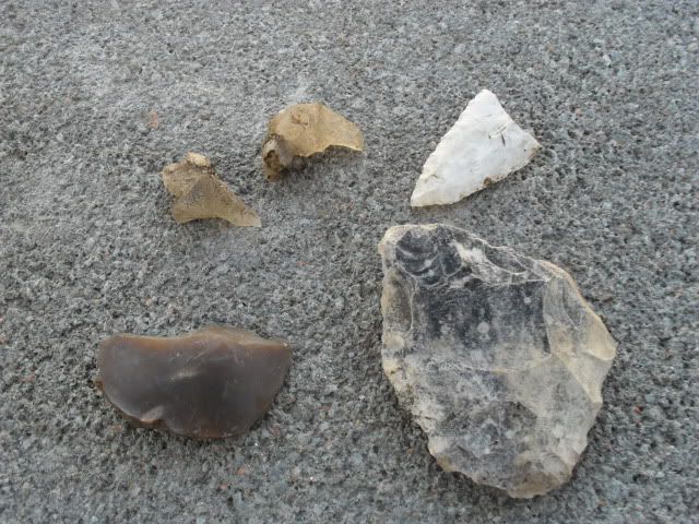 SDC10276.jpg