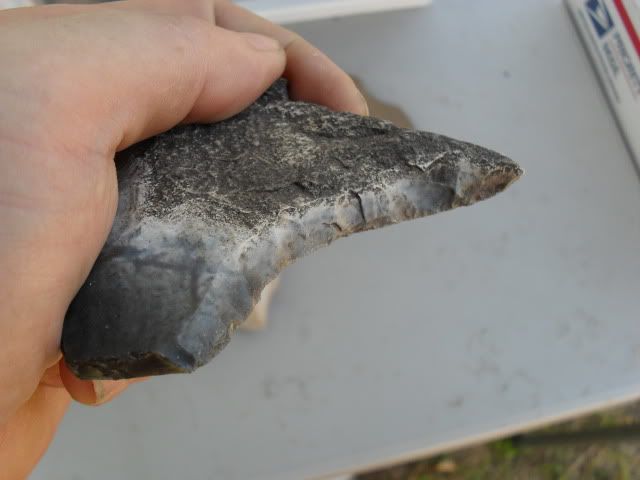 SDC10884.jpg
