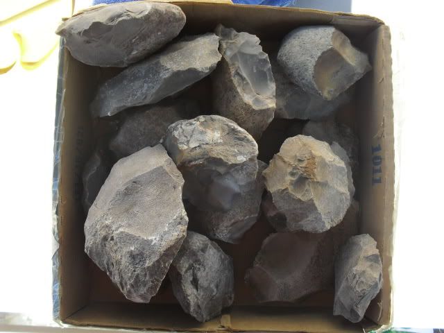 SDC10926.jpg