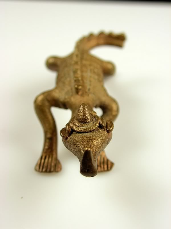 croc007.jpg