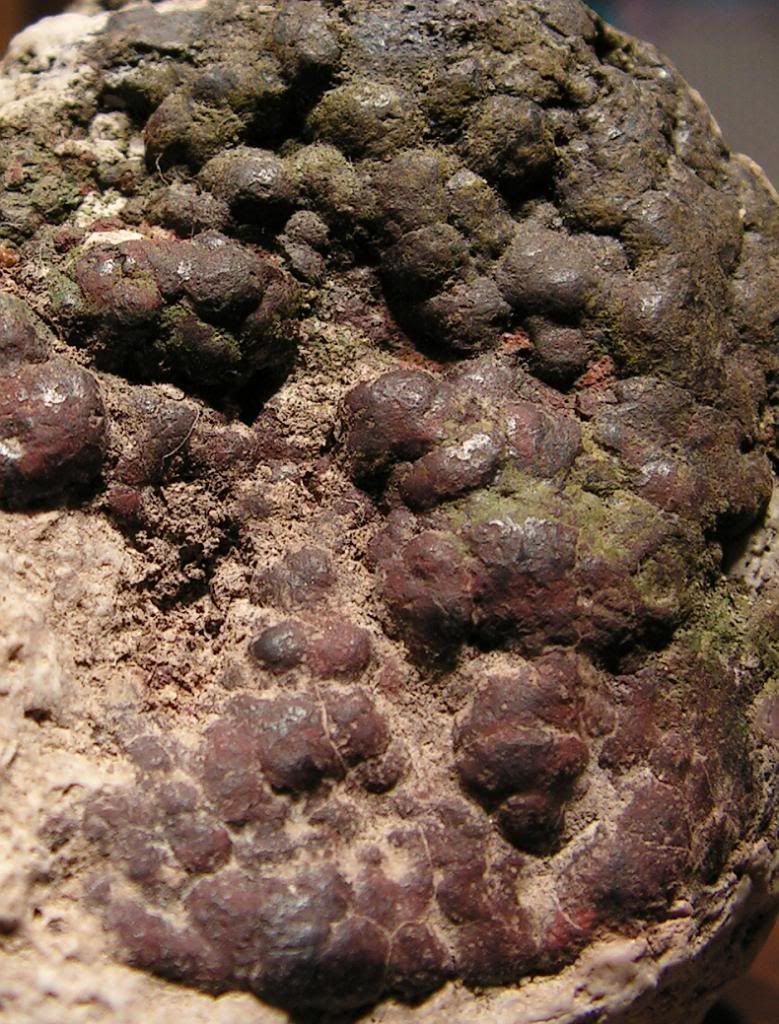 rock005.jpg