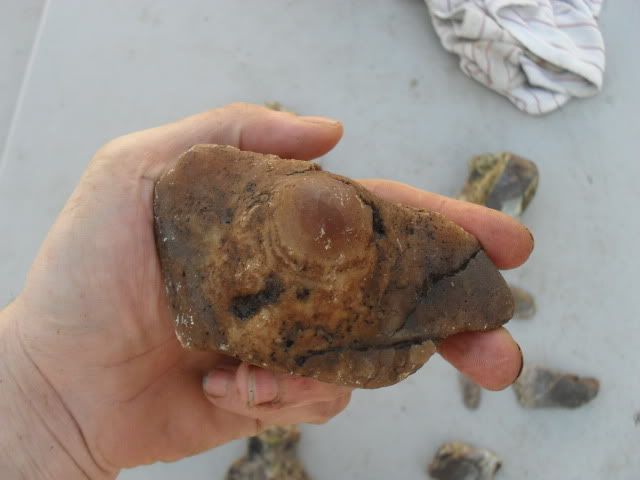 SDC10479.jpg