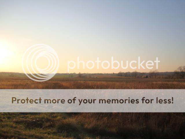 indianoldfields010.jpg