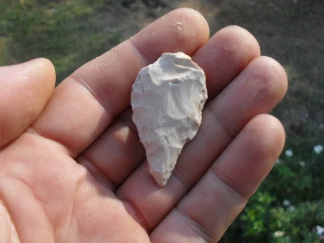 SDC10714.jpg