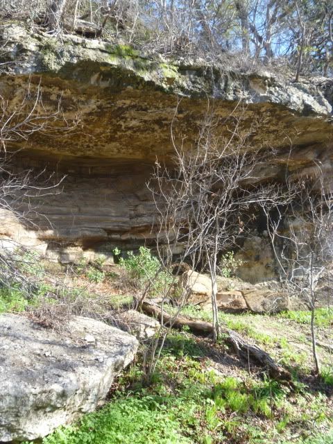 P1020417.jpg