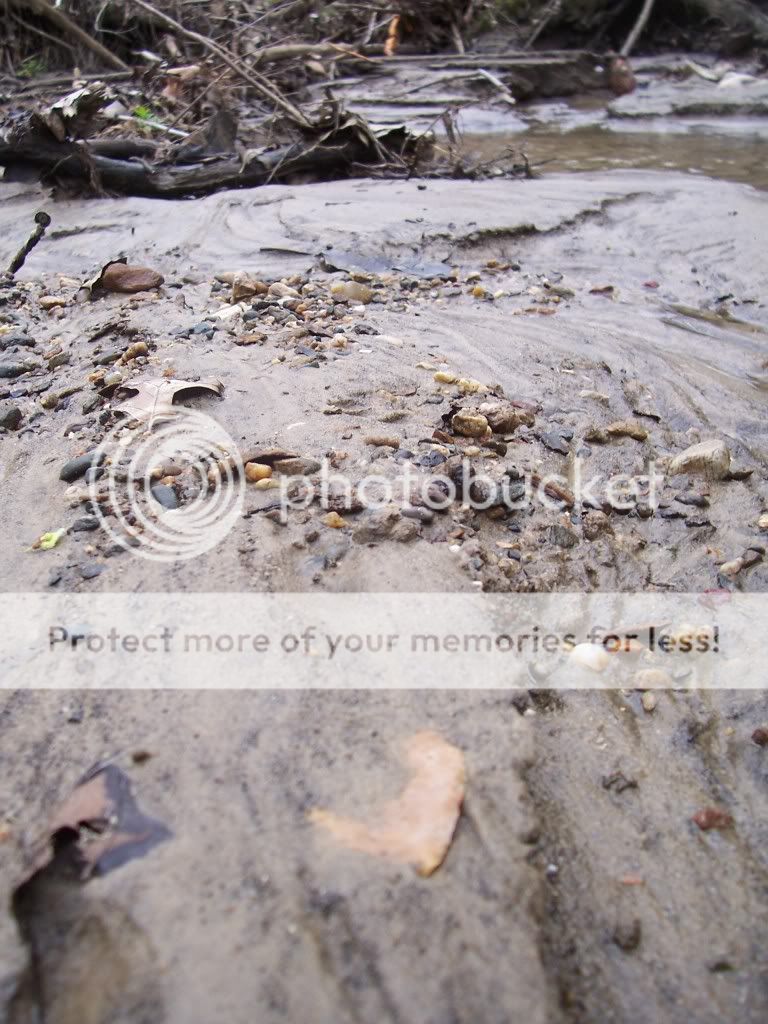 creekfinds90008.jpg