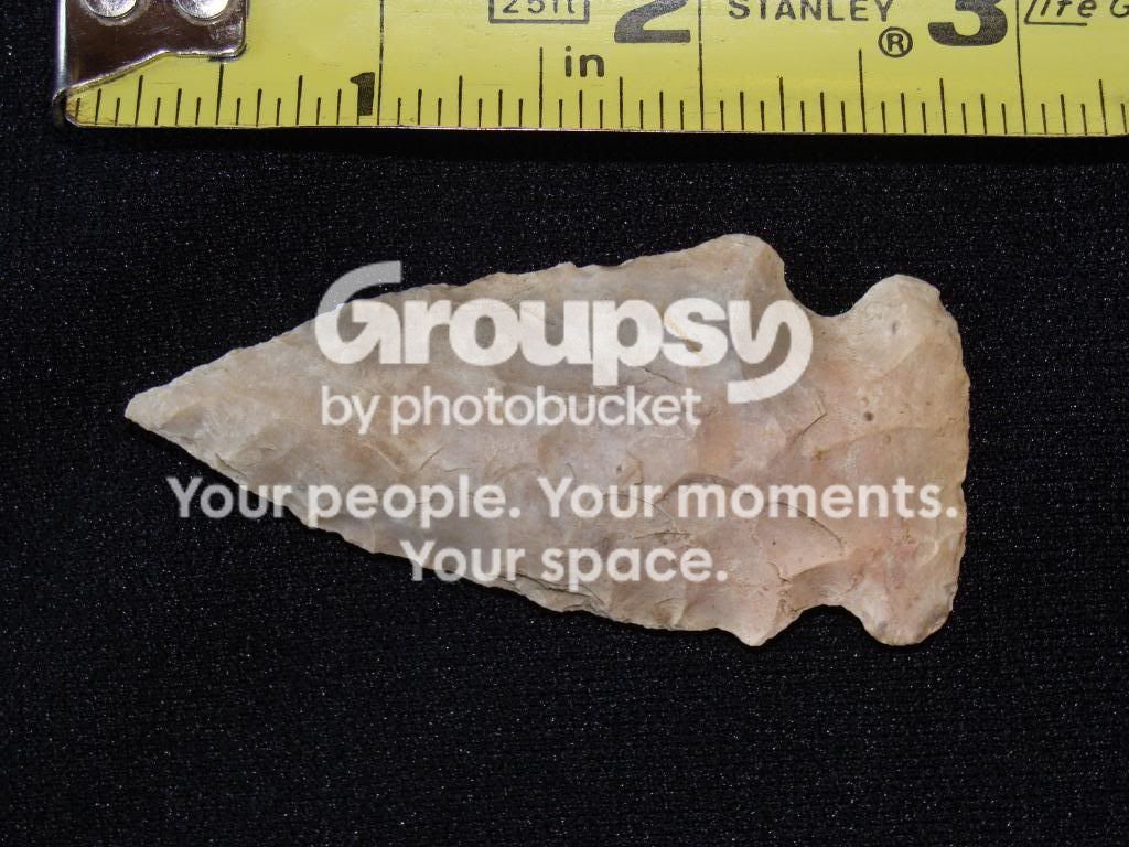 DSC00110.jpg