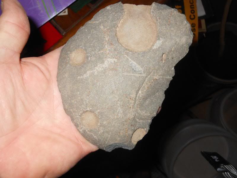 DSCN3275.jpg