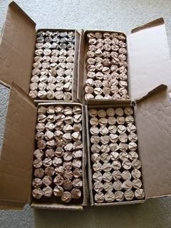halves20090331.jpg