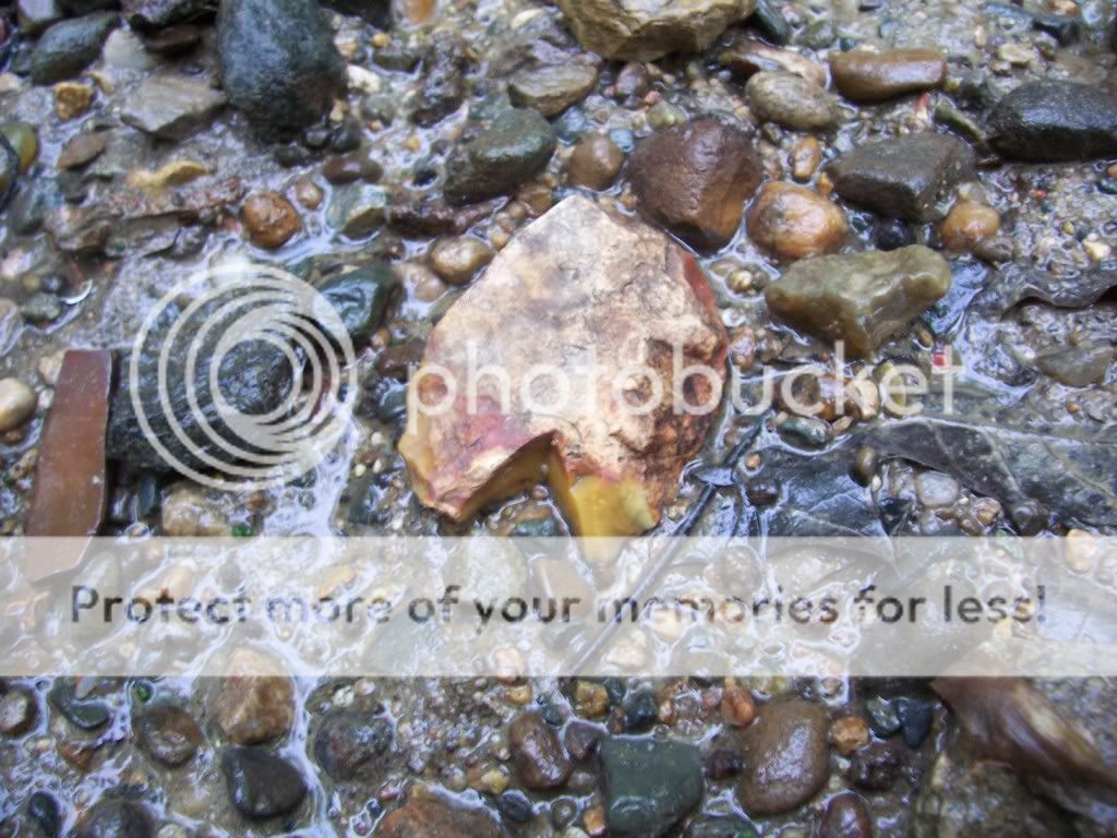 creekfinds005-1.jpg