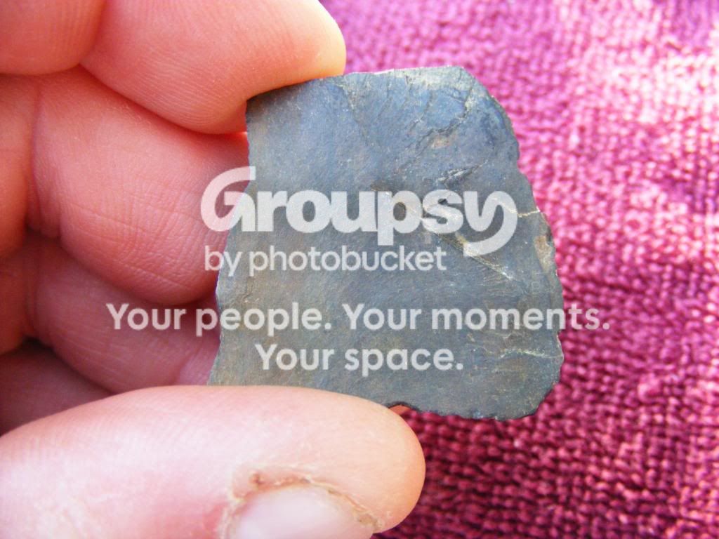 2009_0805button0014.jpg