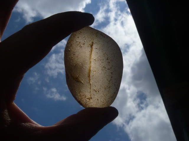 P1030941.jpg