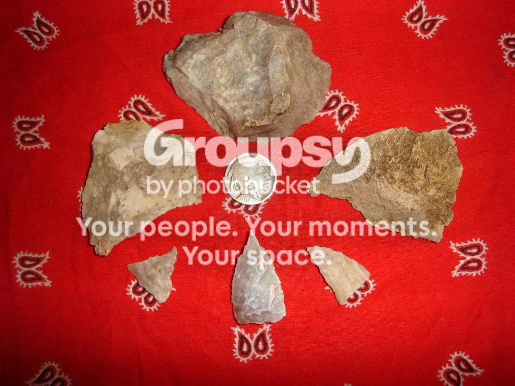 DSC01110.jpg