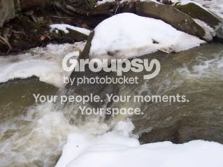 100_1657a.jpg
