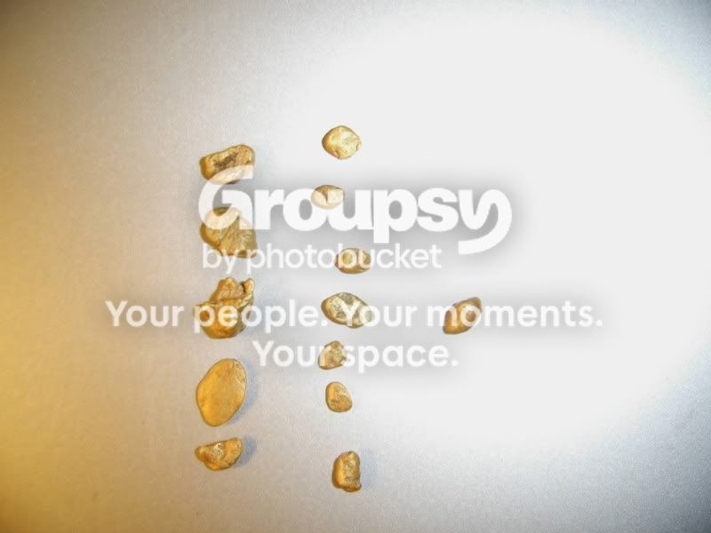 Gibbsongold.jpg