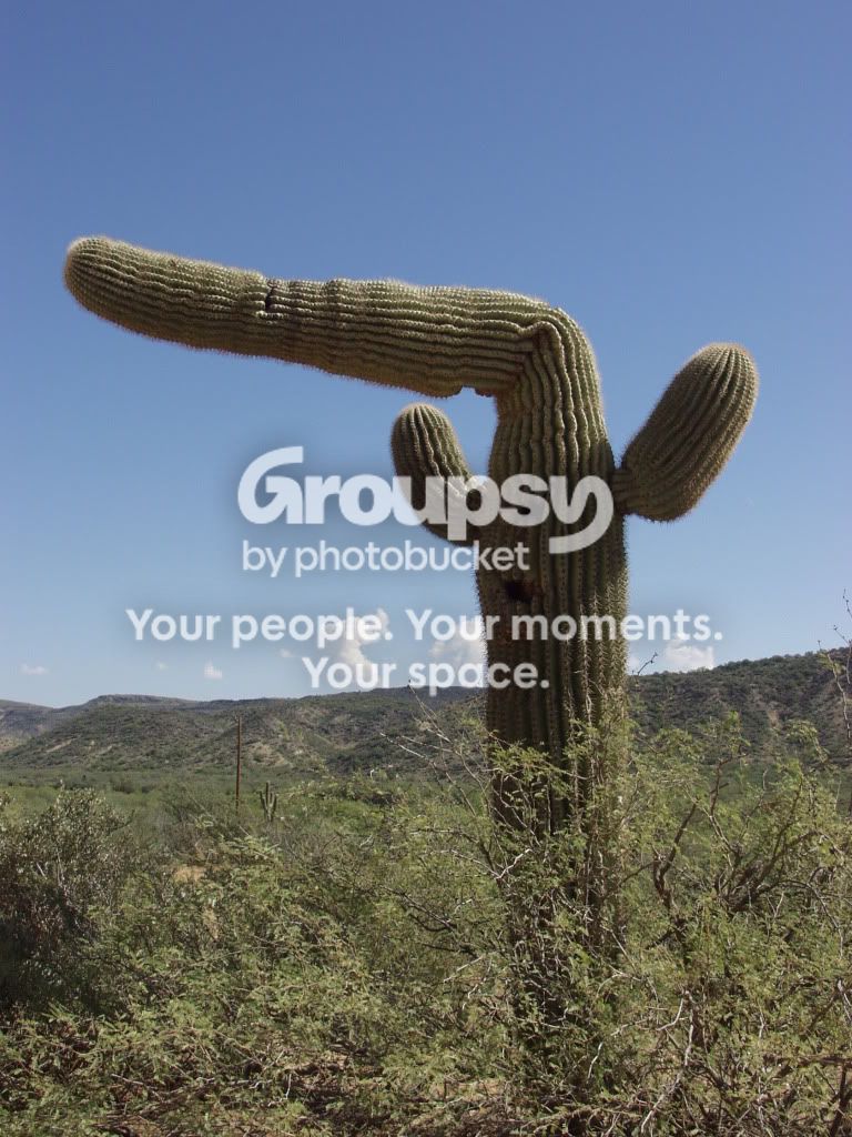 PA037109.jpg