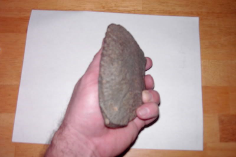 PDR_1280.jpg
