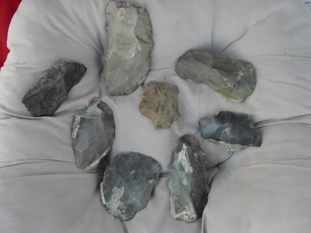 SDC10040.jpg