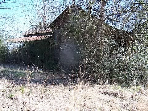 100_0510.jpg