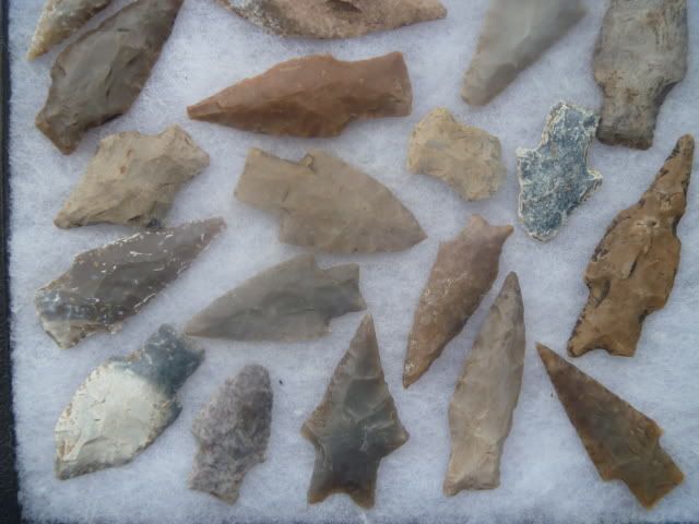 P1050287.jpg