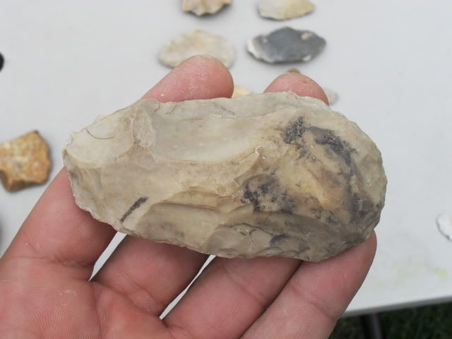 SDC11479.jpg