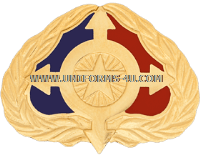 u-army-individual-ready-reserve-unit-crest-17163.png