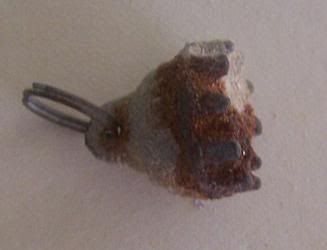 Charm1202091.jpg