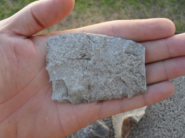 SDC10024.jpg