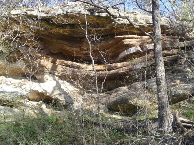 P1020418.jpg