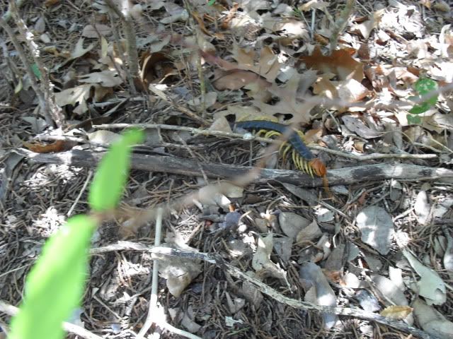 SDC17539.jpg