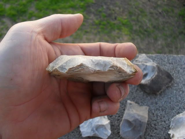SDC10051.jpg
