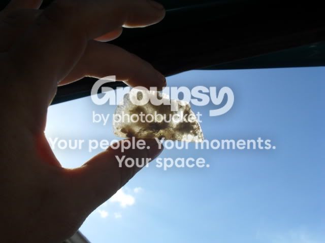 SDC10009-1.jpg